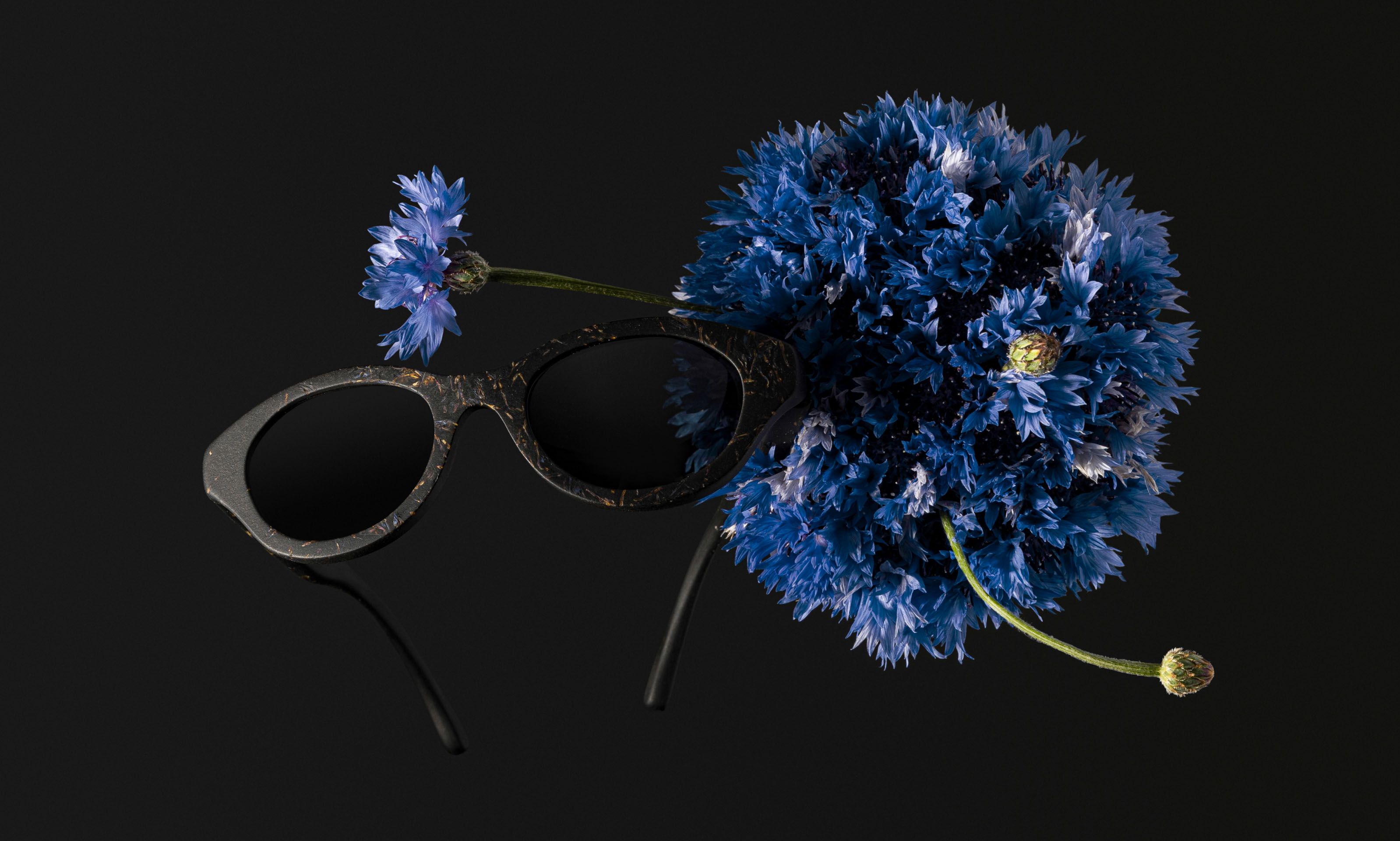 Sunglasses from Ukrainian flowers: Tsvit by Ochis